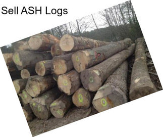 Sell ASH Logs