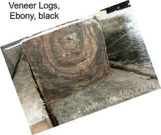 Veneer Logs, Ebony, black