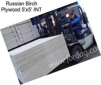 Russian Birch Plywood 5\'x5\' INT