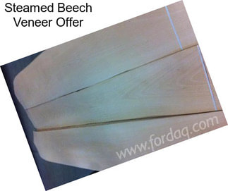 Steamed Beech Veneer Offer