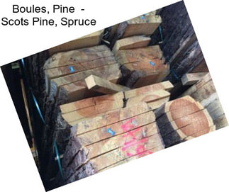 Boules, Pine  - Scots Pine, Spruce