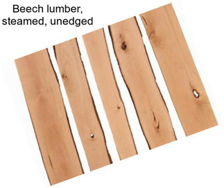 Beech lumber, steamed, unedged