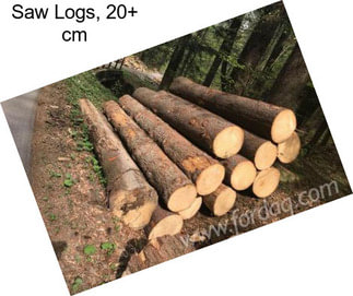 Saw Logs, 20+ cm