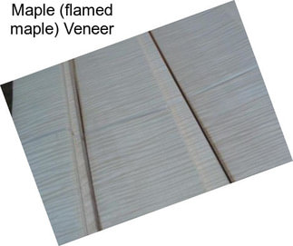 Maple (flamed maple) Veneer