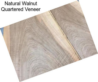 Natural Walnut Quartered Veneer