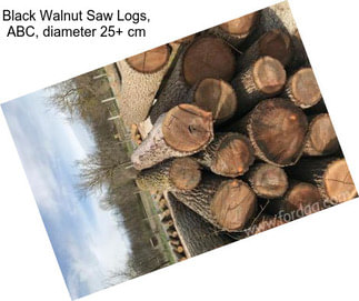 Black Walnut Saw Logs, ABC, diameter 25+ cm