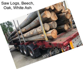 Saw Logs, Beech, Oak, White Ash