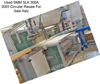 Used SMM SLK 300A 2003 Circular Resaw For Sale Italy