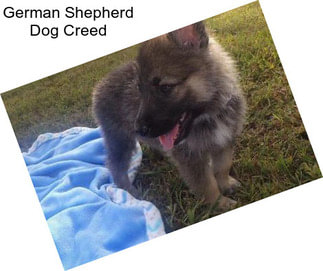 German Shepherd Dog Creed