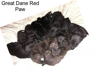 Great Dane Red Paw