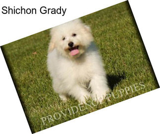 Shichon Grady