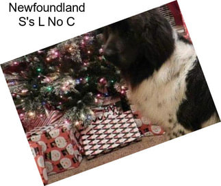 Newfoundland S\'s L No C