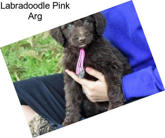 Labradoodle Pink Arg