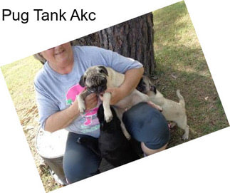 Pug Tank Akc