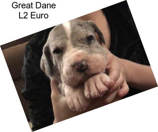 Great Dane L2 Euro