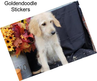 Goldendoodle Stickers