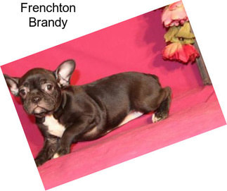 Frenchton Brandy