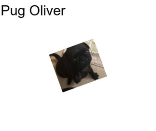 Pug Oliver