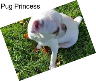 Pug Princess