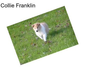 Collie Franklin