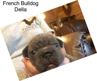 French Bulldog Della