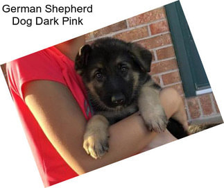 German Shepherd Dog Dark Pink