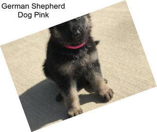 German Shepherd Dog Pink