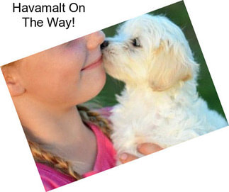 Havamalt On The Way!