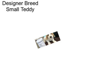 Designer Breed Small Teddy