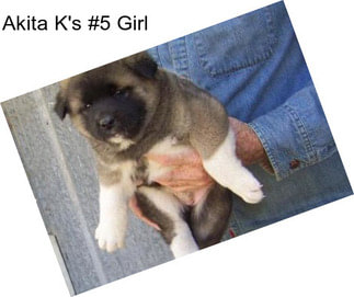Akita K\'s #5 Girl