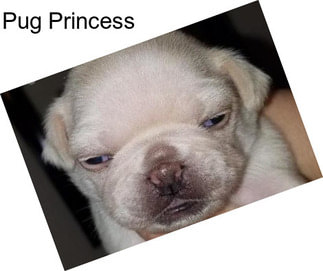 Pug Princess