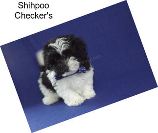 Shihpoo Checker\'s