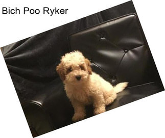 Bich Poo Ryker