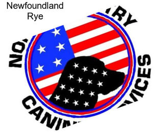 Newfoundland Rye