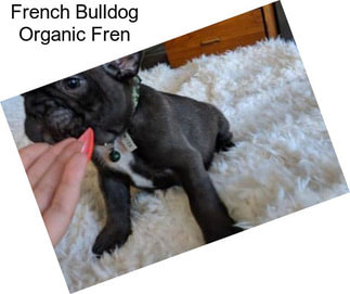French Bulldog Organic Fren