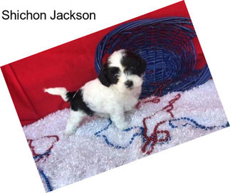 Shichon Jackson