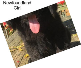 Newfoundland Girl