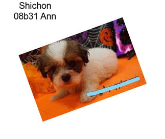 Shichon 08b31 Ann