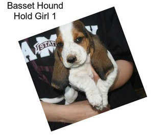 Basset Hound Hold Girl 1