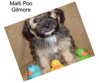 Malti Poo Gilmore