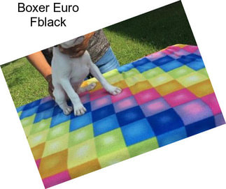 Boxer Euro Fblack