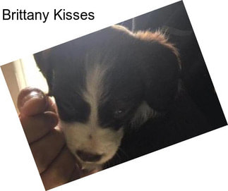 Brittany Kisses