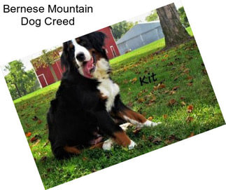 Bernese Mountain Dog Creed