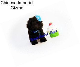 Chinese Imperial Gizmo