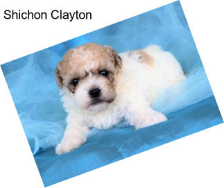 Shichon Clayton