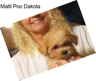 Malti Poo Dakota