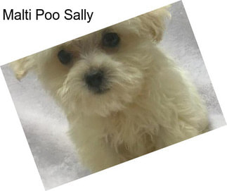 Malti Poo Sally