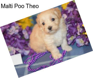 Malti Poo Theo