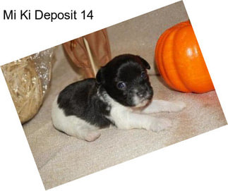 Mi Ki Deposit 14
