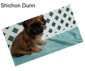 Shichon Dunn